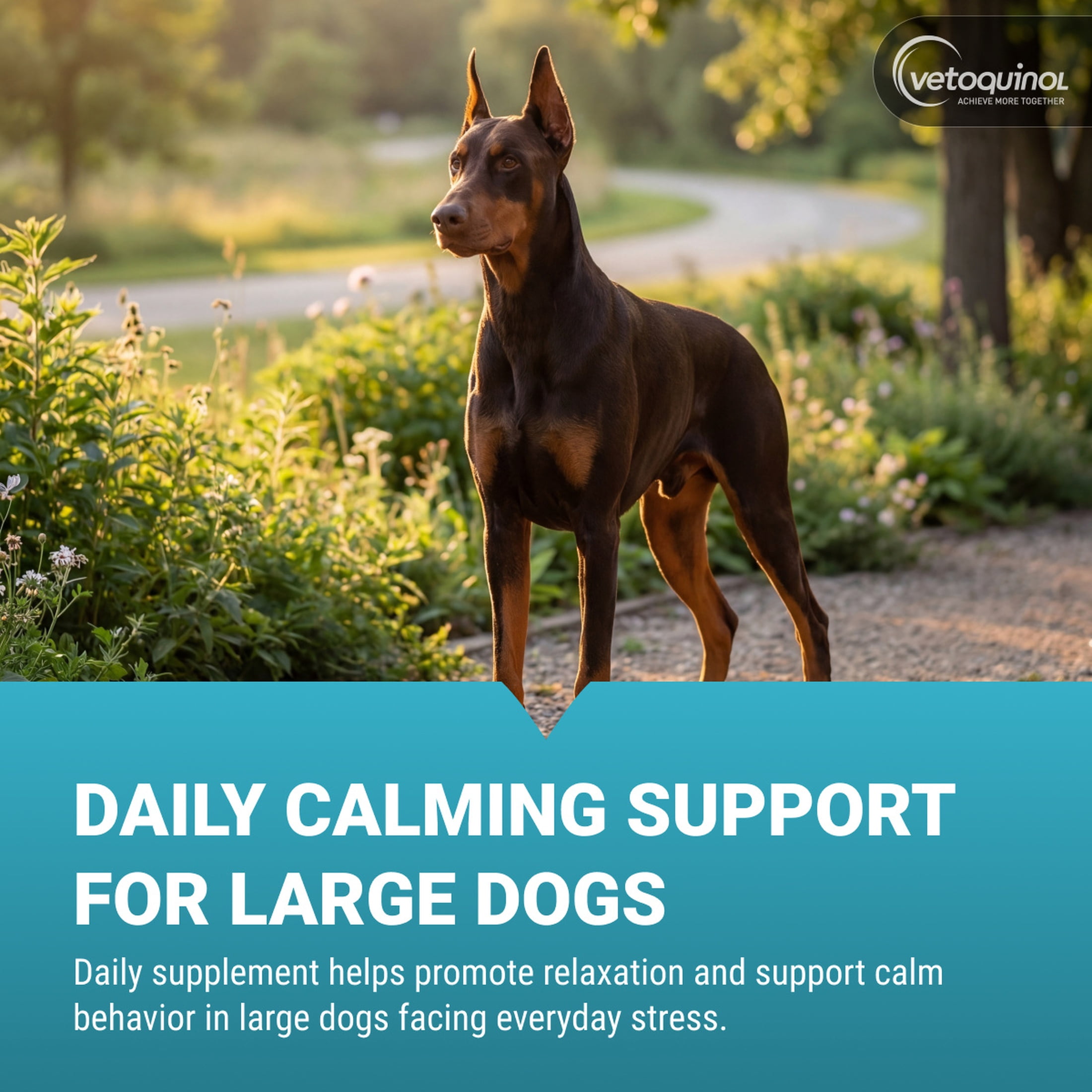 Vetoquinol Zylkene Calming Supplement for Dogs & Cats, Anxiety & Stress Relief, For Large Pets 65lbs+, 30 count