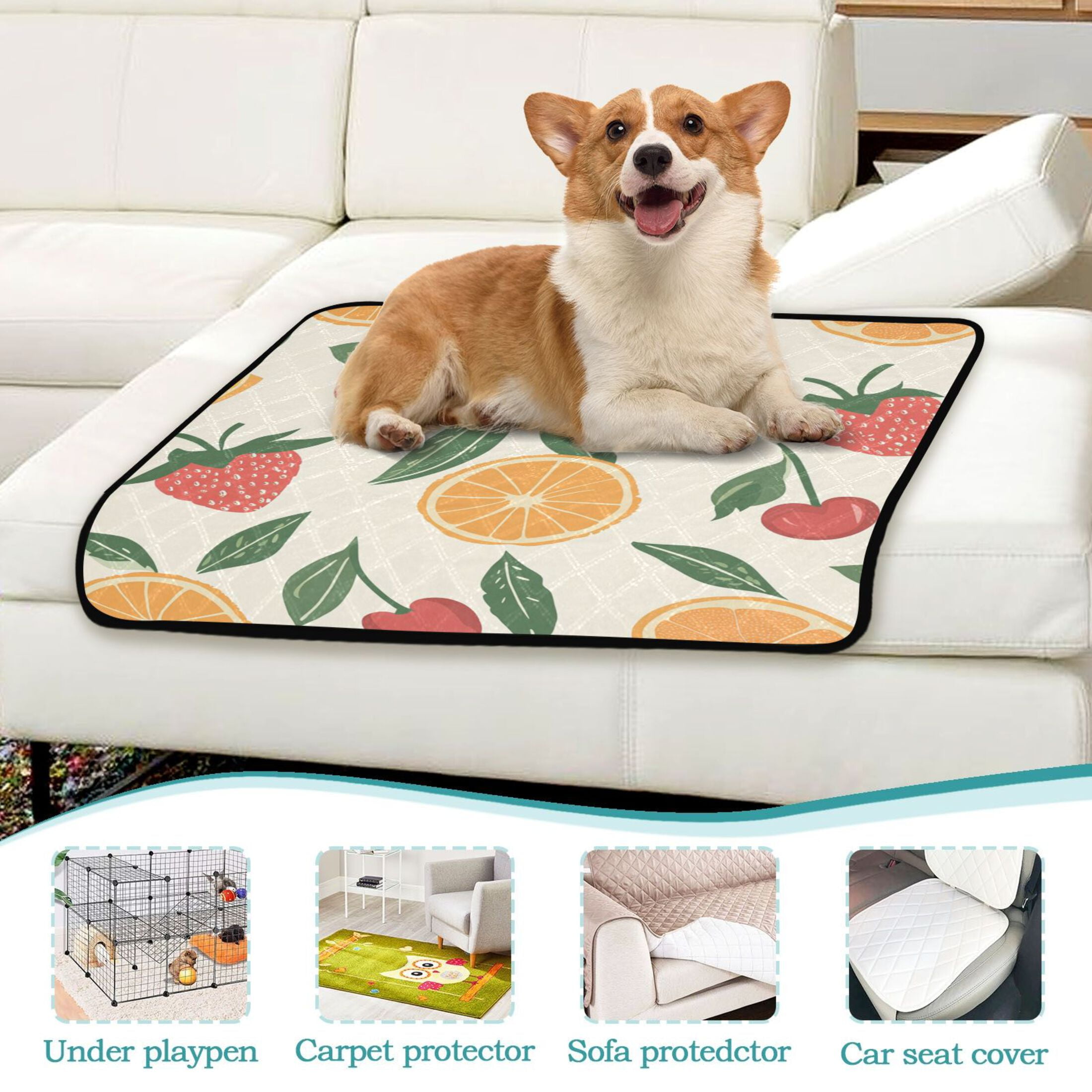 Qxltty Strawberries and Oranges on A Pastel Background Cat litter Pads Pet Set of 3 Diaper Mats Center Anti-leakage Layer Absorbent Soft and Comfortable