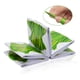 thumbnail image 3 of pinceles de uñas de manicura , , archivos, taza, herramientas de uñas verde shamjiam Limas de uñas, 3 of 8