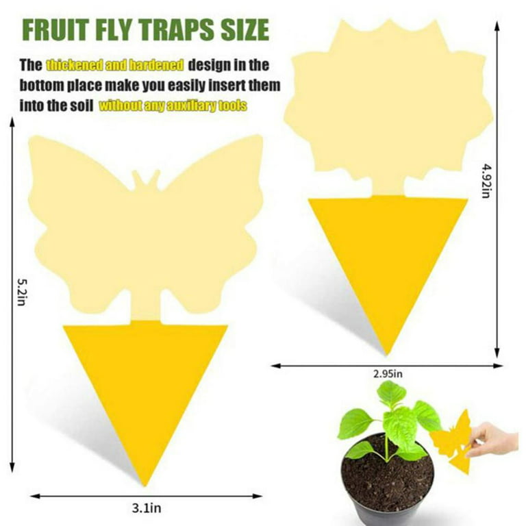 Fruit Fly Trap Yellow Sticky Trap with Twist Tie Plastic Holder