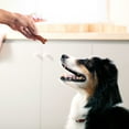 thumbnail image 4 of Milk Bone Soft & Chewy Dog Treats, Made with Real Beef & Filet Mignon, 5.6 Ounce Pouch, 4 of 10