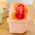 thumbnail image 4 of DIY Homemade Popsicle Mold with Handle Reusable Ice Stick Making Template for Summer Dessert, 4 of 5