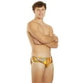 thumbnail image 5 of Sporti Groovy Zodiac Aries Brief Swimsuit, Briefs (Men’s), 5 of 11