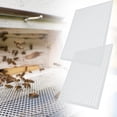 thumbnail image 3 of 2 piezas Excluidor de reina Excluidor de abejas Excluidor de reina de apicultura de plástico profesional para separar a de, 3 of 8