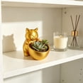 thumbnail image 6 of JHyouerji Cute Cat Shaped Plastic Succulent Planter Pot 7x2x3 Inch,Gold Drainage Hole Small Flower Container for Windowsill Office Indoor Plant Home Decor, 6 of 6