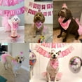 thumbnail image 2 of Bandana de cumpleaños para perro, suministros para fiesta de cumpleaños, falda de tutú rosa, sombrero de corona, bufanda, pancarta de feliz cumpleaños, cumpleaños para niña y perro Adepaton WMPH-851, 2 of 9