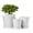 Cloud Dancer White, variant on BUYMAX 4",5",6" Dia Planter Set of 3, Modern Style Ceramic Plant Pots with Drainage Hole and Tray for Indoor Outdoor Patio, Cloud Dancer White