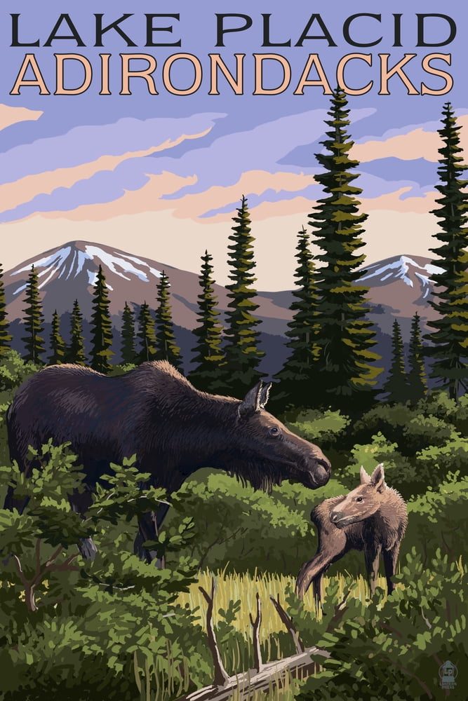 Lake Placid, New York, Moose and Calf (9x12 Wall Art Print, Home Decor