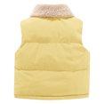 thumbnail image 3 of Posijego Kids Toddler Puffer Vest Fleece Lined Sleeveless Jacket Padded Waistcoat Outerwear for Boys Girls, 3 of 3