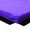 Purple, variant on PRISP Gymnastics Mat 8' x 4' x 2", Folding Gym Mat for Tumbling, Exercise & Fitness