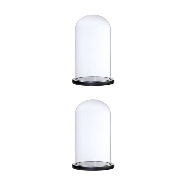 2xglass dome / wood base flor paisajista cubierta de vidrio negro g BLESIY Cúpula transparente con base de madera