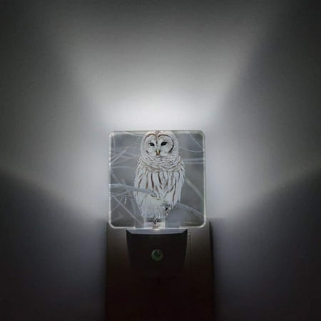 

Night Light Plug in LED Lamp Automatic Sensor Night Lights Plug into Wall Cute White Owl Perch On Tree Branch Bathroom Bedroom Hallway Bright Decor Square Dim Night-Lights for Kids Girl