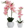 thumbnail image 4 of Bornbridge Artificial Potted Orchid with Long Stem - 2 Pack - Light Pink - Medium, 4 of 5