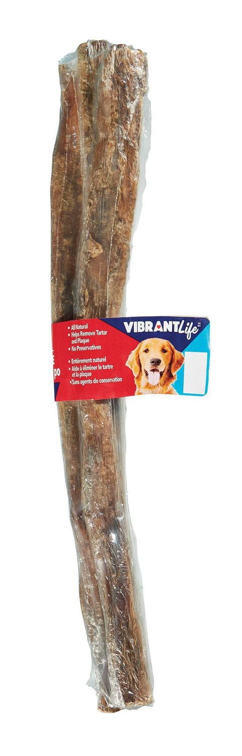 Vibrant Life Beef Pizzle, Vibrant Life 12" Pizzle, 3Pk