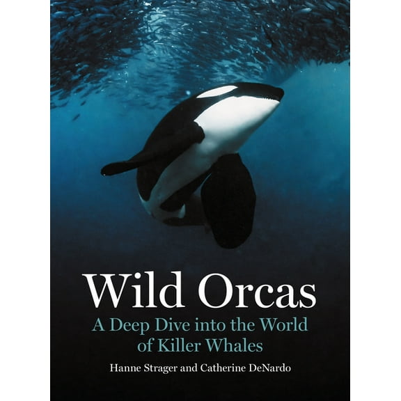 Wild Orcas: A Deep Dive Into the World of Killer Whales, (Hardcover)
