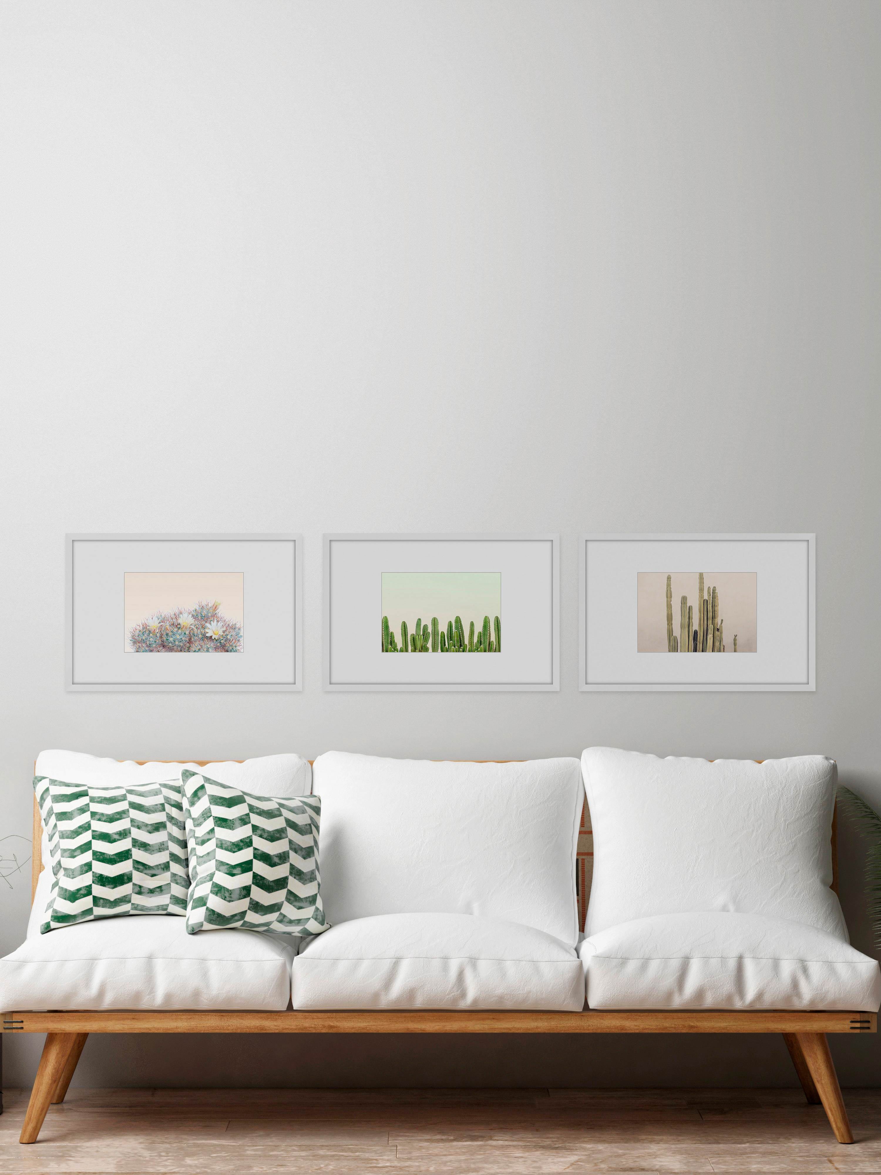 Floral Cactus Triptych, Art Prints, 135.00" x 1.50"