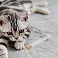 thumbnail image 4 of LIFKOME 2Pcs Cat Keepsake Transparent Wood for Pet Owners Hair Preservation, 4 of 8