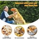 thumbnail image 4 of Juguete indestructible para perros, pelota de goma resistente con sonido, ideal para perros pequeños, medianos y grandes, 11,7 cm, color naranja., 4 of 5