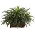 thumbnail image 1 of River Fern w/Wood Planter, 1 of 1