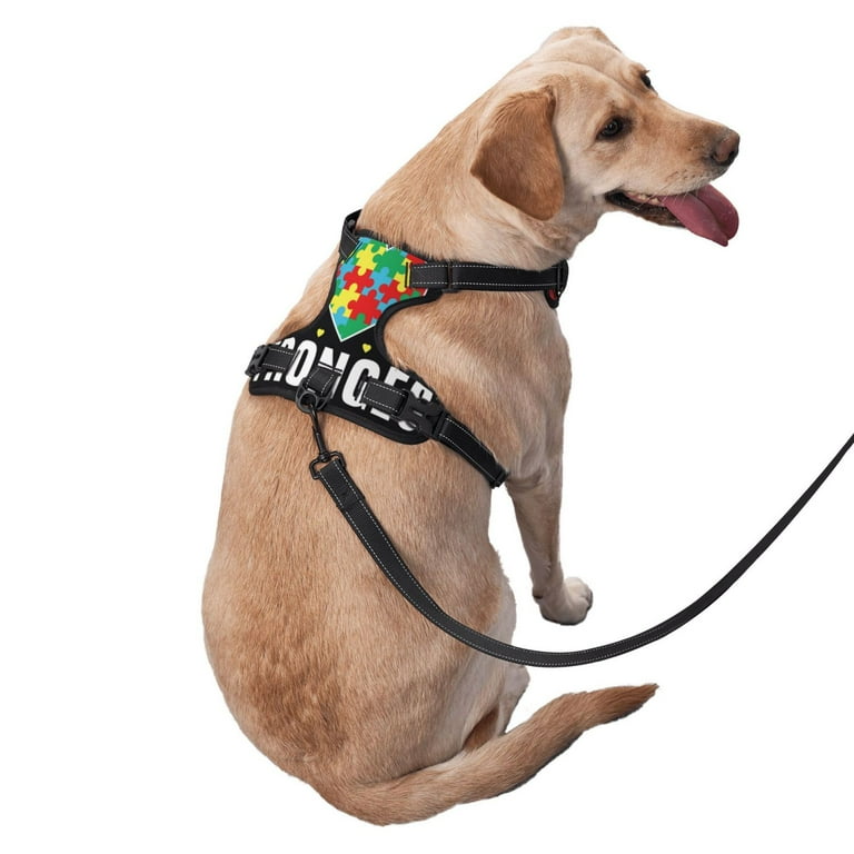 Rocae I Love With Autism for Walk Dog Harness for Small to Large Dogs Adjustable and Easy to Fit Medium Walmart