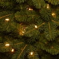 thumbnail image 4 of National Tree Company 9 ft. Deluxe Downswept Douglas Fir Tree with Dual Color LED Lights, 4 of 4