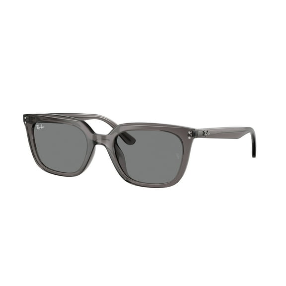 Sunglasses Ray-Ban RB 4439 D 667587 Transparent Grey Dark