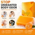 thumbnail image 5 of Persimmon Soap Bar for Body Odor Control - Purifying Deodorizing Body Wash with Goats Milk - Eliminates Odor for Men Women Kids - Natural Deodorant Soap for Face Bath Hands, 5 of 9