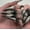 JP3469 [Glue model], variant on European and American dark babes wear nail crosses, manicure fake nails, black smudged nail pieces, silver fire nail patches