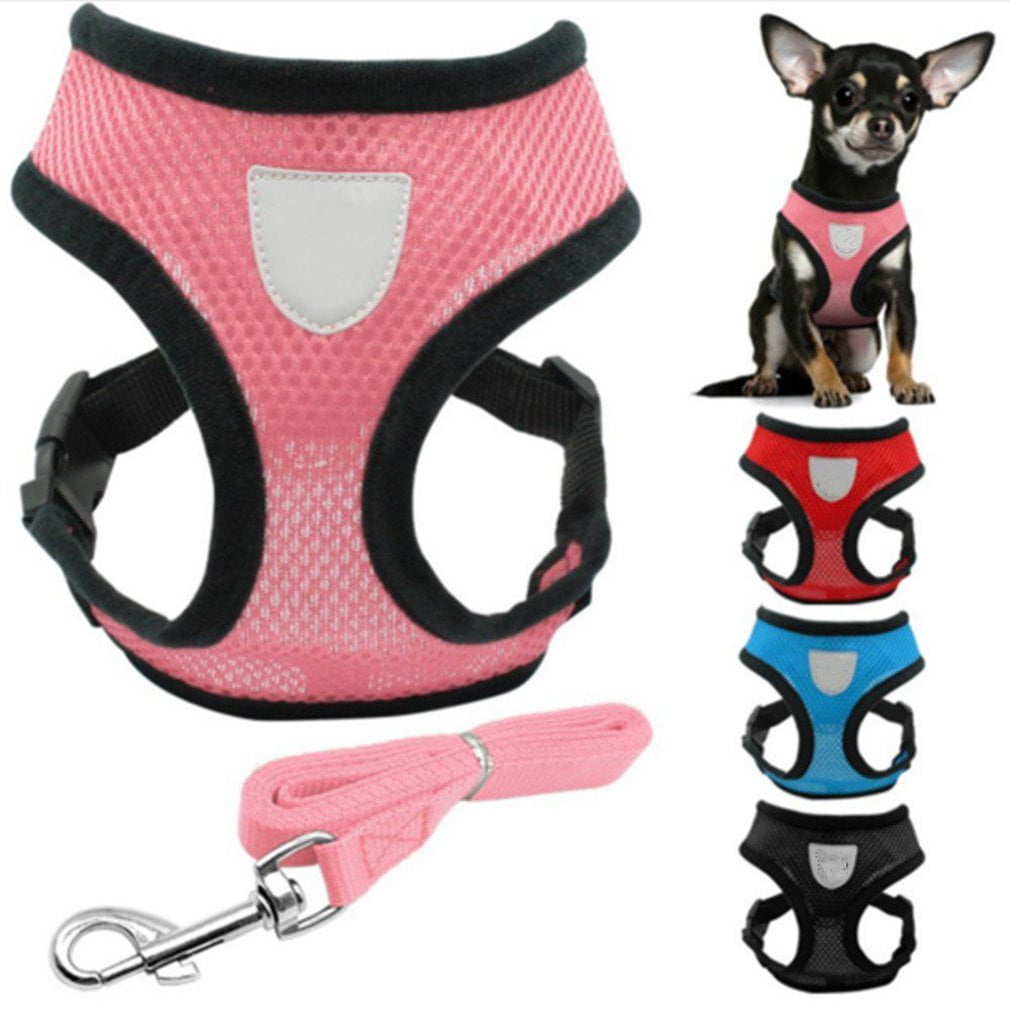 harness leash for puppy
