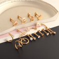 thumbnail image 4 of Dalazy 17 Pcs Boucles d'Oreilles en Acier Inoxydable Bijoux Nez Argent 1ensemble, 4 of 6