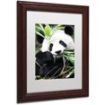 thumbnail image 2 of Trademark Fine Art "Giant Panda I" Canvas Art by Philippe Hugonnard, White Matte, Wood Frame, 2 of 4