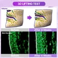 thumbnail image 3 of Crema hidratante nocturna BIOHEAL BOH Probioderm 3D Lifting 50 ml, 3 of 8