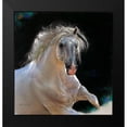 thumbnail image 2 of Harrison, Lesley 20x21 Black Modern Framed Museum Art Print Titled - Untamed, 2 of 5