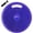 Purple, variant on Bintiva Inflated Stability Wobble Cushion with Built in Handle, Including Free Pump and Exercise Fitness Core Balance Disc