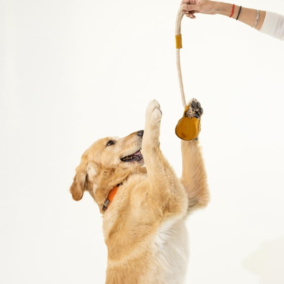 Pawpourri Baseball Rope Toy for Dogs and Cats 1-Piece