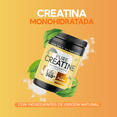 thumbnail image 2 of Suplemento Alimenticio en Polvo 450g para 90 Días PURE CREATINE Creatina Monohidratada, 2 of 7