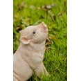 thumbnail image 2 of BABY PIG SITTING - PINK, 2 of 4