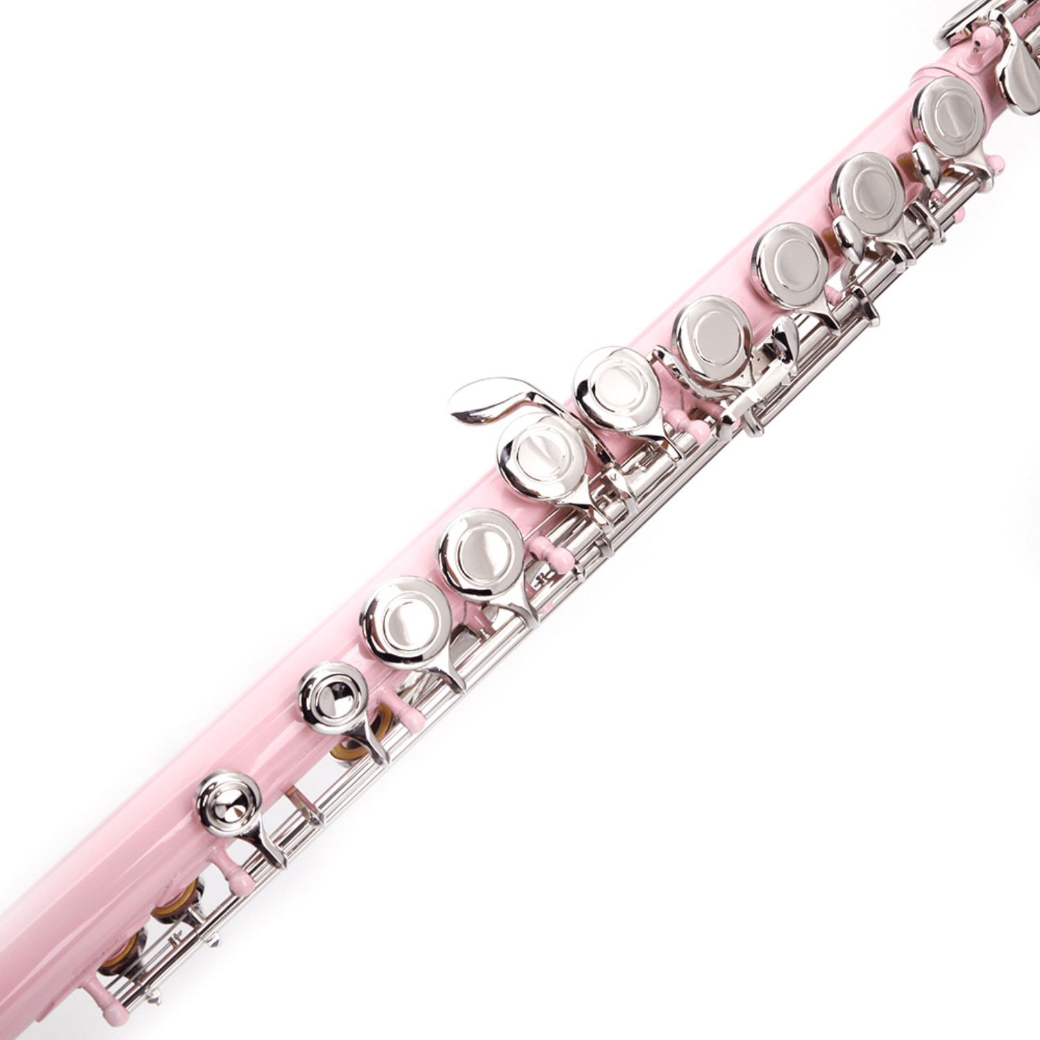 Hassch 16 Key Closed Hole C Flute with Case, Beginners Kit with Cloth, Screwdriver, Lubricant and Cleaning Rod for Learning, Pink