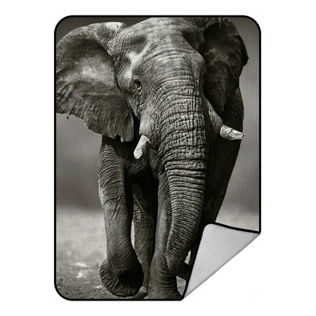 - GCKG Black And White Style Old Elephant Fleece Blanket Crystal Velvet Front and Lambswool Sherpa Fleece Back Throw Blanket 58x80inches