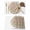 Brown, variant on Coastal Conch Placemats Set of 8, Watercolor Ocean Nautical Beach Seashells Placemats for Dining Table, Place Mats for Kitchen Tabletop, Waterproof Wipeable Dining Table Mats Set