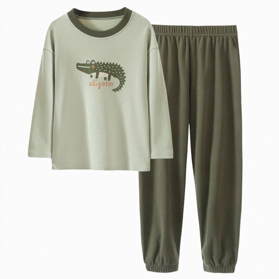 NOLDARES Toddler Boys Clothes Dinosaur Print 6 12 18 24 Months 3T 4T Outfits Long Sleeve Pullover Jogger Pant 2PC Sets Size:5-6 Y,Green