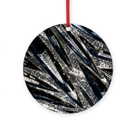 CafePress - Orthoceras Fossils -  Round Wood Ornament 4"