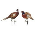 thumbnail image 1 of 2pcs Pheasant Garden Stake Decoration Ground Insert Lifelike Pheasant Sculpture Acrylic Animal Stakes, 1 of 4