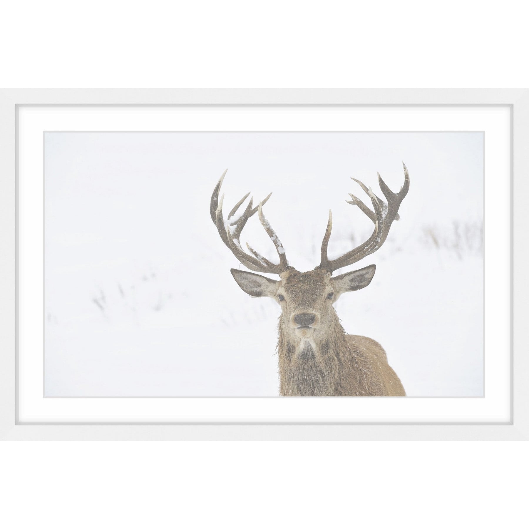 Marmont Hill "Buck Stare" Framed Painting Art Print