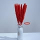 thumbnail image 4 of 15 piezas de flores secas para jarrón, ramo, arreglo floral para decoración bohemia Rojo, 4 of 6