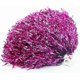 thumbnail image 1 of pompones de 30 cm/11,8 pulgadas para porristas, accesorios deportivos para fiestas, 1 of 5