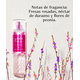 thumbnail image 3 of Fragancia Corporal Bath & Body Works Gingham Gorgeous, 3 of 5