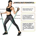 thumbnail image 2 of Exercise Resistance Bands with Handles, Professional Workout Bands for Physical Therapy, Strength Training, 2 of 3