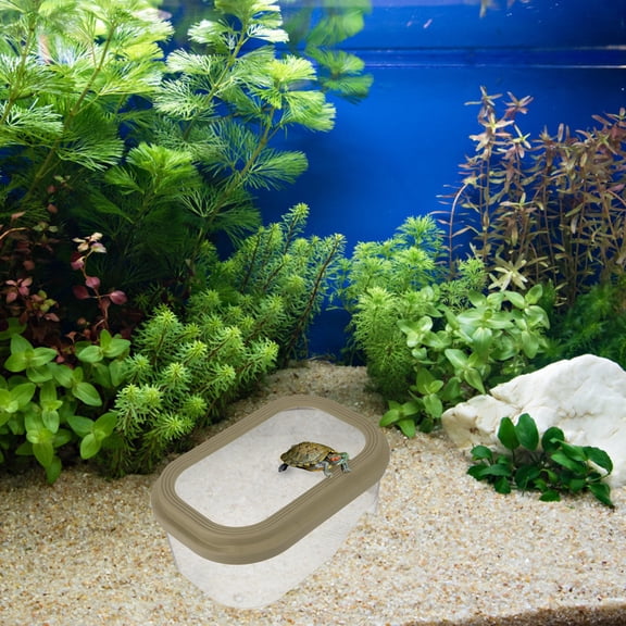 LOLIPPYY Basking Platform Turtle Tank Green ABS for Baby Turtles at Home 1Pack