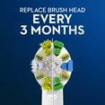 thumbnail image 6 of Oral-B FlossAction X-Filament Replacement Brush Heads, 2 Count, 6 of 11